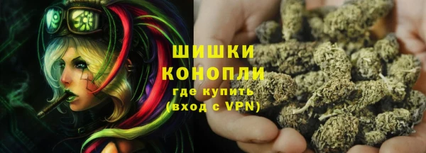 крисы Гусиноозёрск