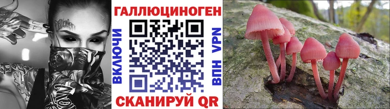 Галлюциногенные грибы GOLDEN TEACHER  Киренск 